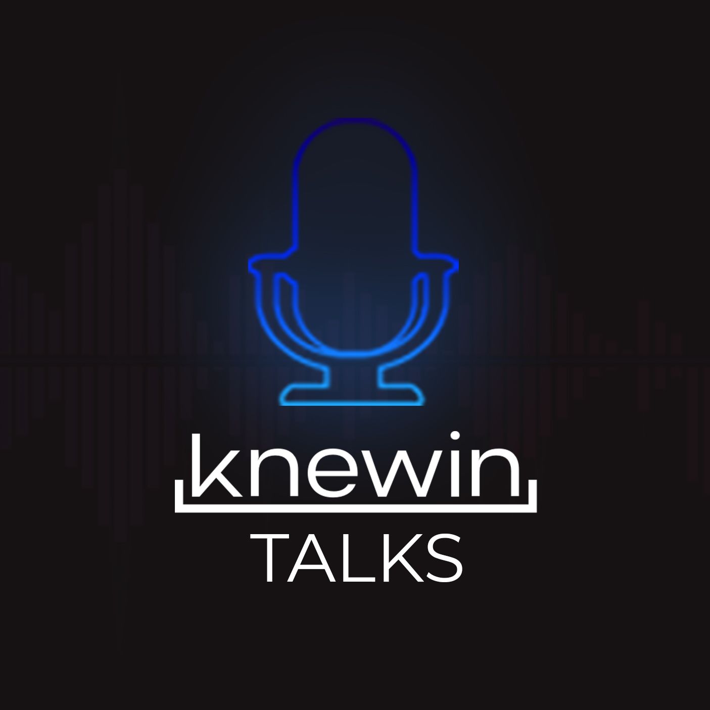 Knewin