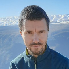 Николай Пржибыш