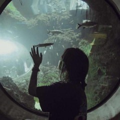 ˚✧₊⁎⁎⁺˳✧༚