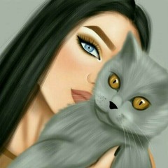 شيلات
