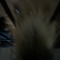 underscore_