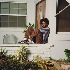 TC Silk