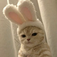 Eman mahdi Eman mahdi