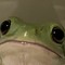 Froggy