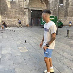 Aleix fabra colomines