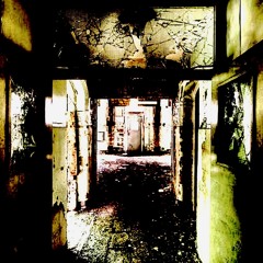 The Alleged Lunatic's Friend Society