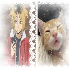 literallykenma