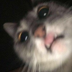 hasan