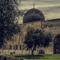 Chosen Muhammad