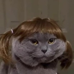 AGGRESSIVE PHONK PLAYLIST #4 - phonk gang.mp3