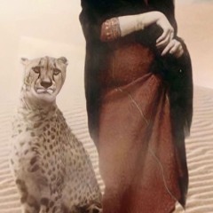 طيف القحطاني