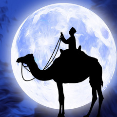 Meeran Meeru Sha kl 49