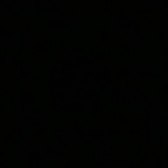 erdal