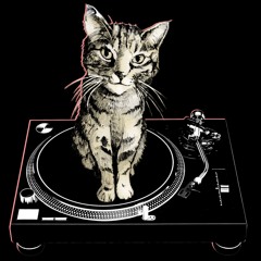 The Wolfwalk Experience