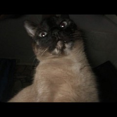 ciuci