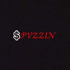 $PVZZIN