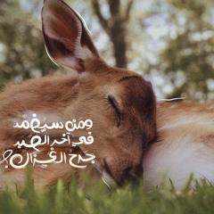 بسمـه نـادر