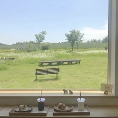 Quỳnh Trang Nguyễn