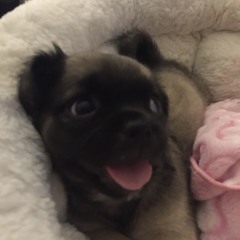 𝐸𝓉𝑒𝓇𝓃𝒶𝓁