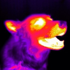 !? lesbia_metalhead ¡¿