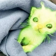 mjawxbaw