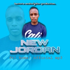 newjordanhome