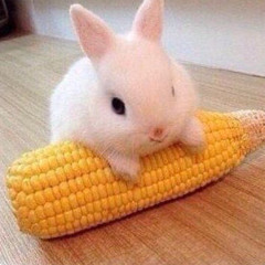 CornBun