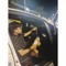 Hendra mlt