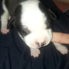 maryuuuu =)