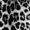 mtv.z_