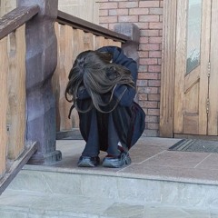 шурик