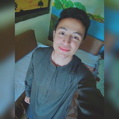 Mahmoud Abd El_Haleem