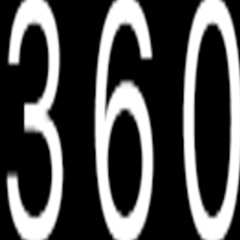 #3six0