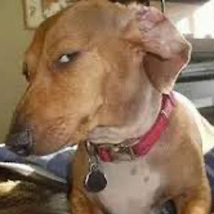 Lil Scoom89 - UP A 10 Chicago Unreleased