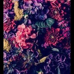 Nour Yasser