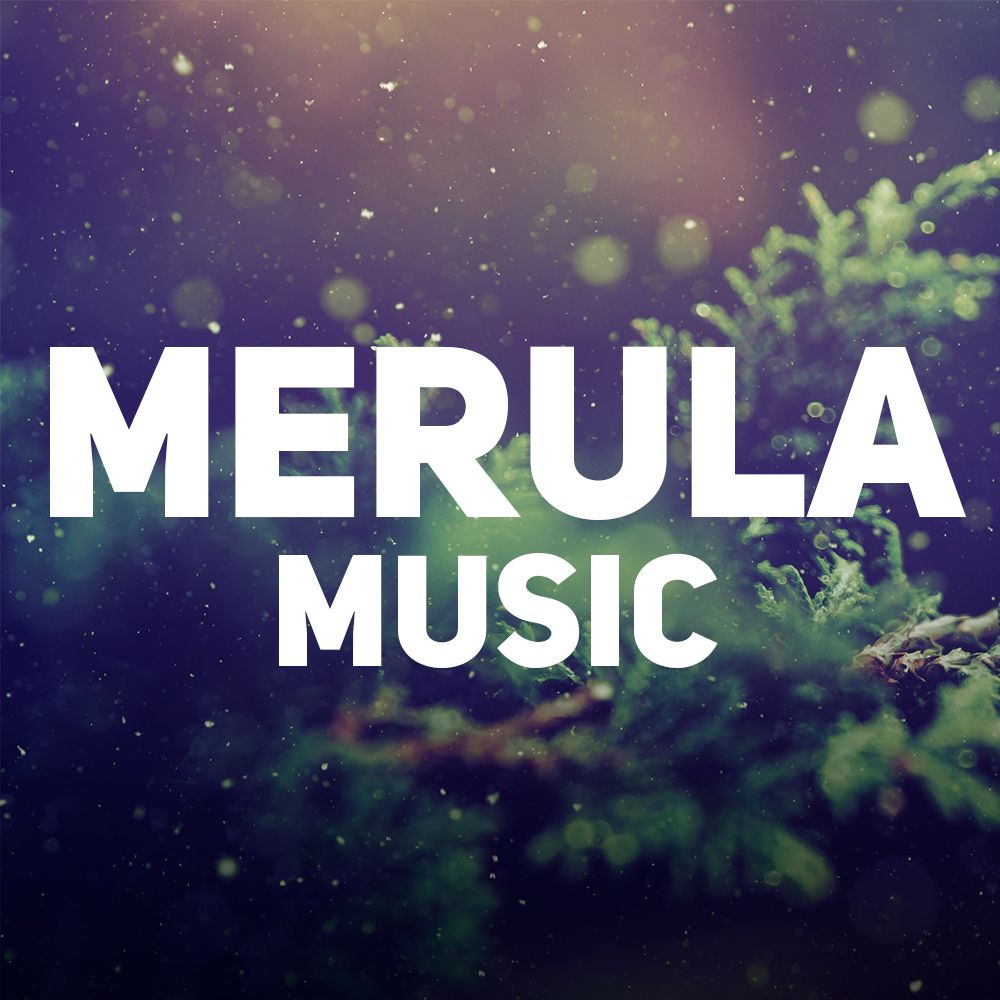 Merula Music