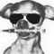 dangerdog