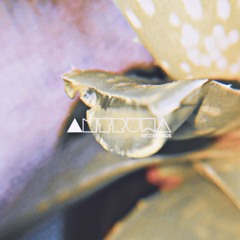 Antruwa  Recordings