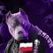 Oliwier Nadybał