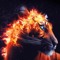 Feline's tunes