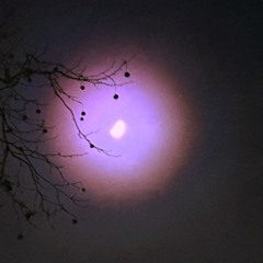 kolo