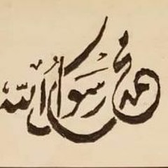 seif Mahmoud