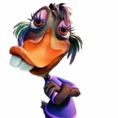 srfocah_