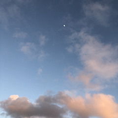 nada ‏ 𓂆