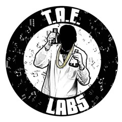 TAE LABS