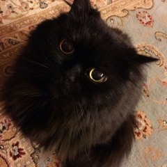 dee