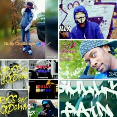 Gully