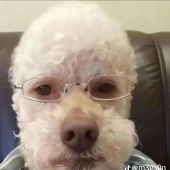 amatoliy56