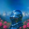 CHIVALRY