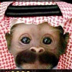 8rdonn